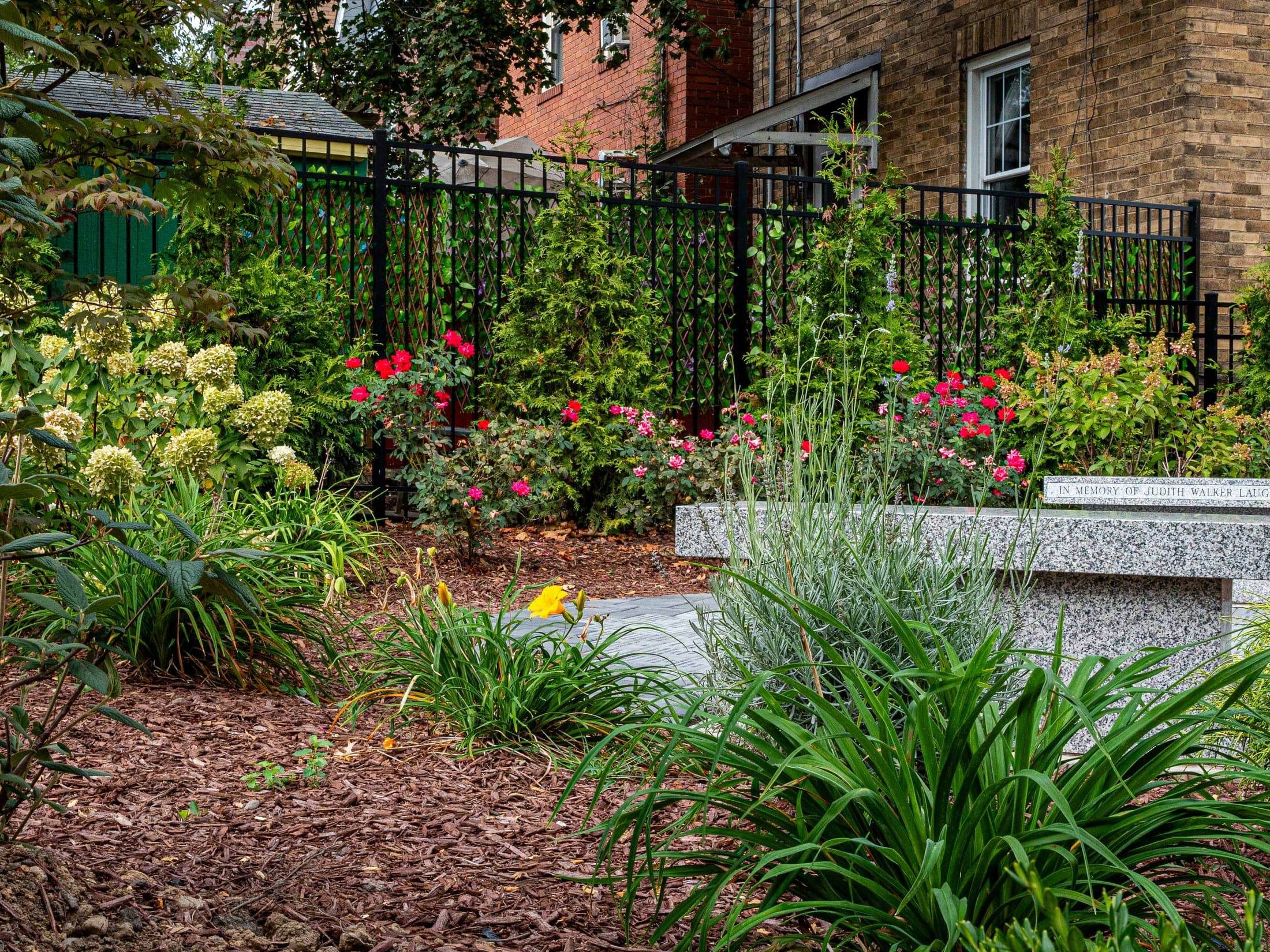 Garden bed of roses, hydrangeas, and daylilies along an iron fence